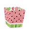 Big Dot of Happiness Sweet Watermelon - Party Mini Favor Boxes - Fruit Party Treat Candy Boxes - Set of 12